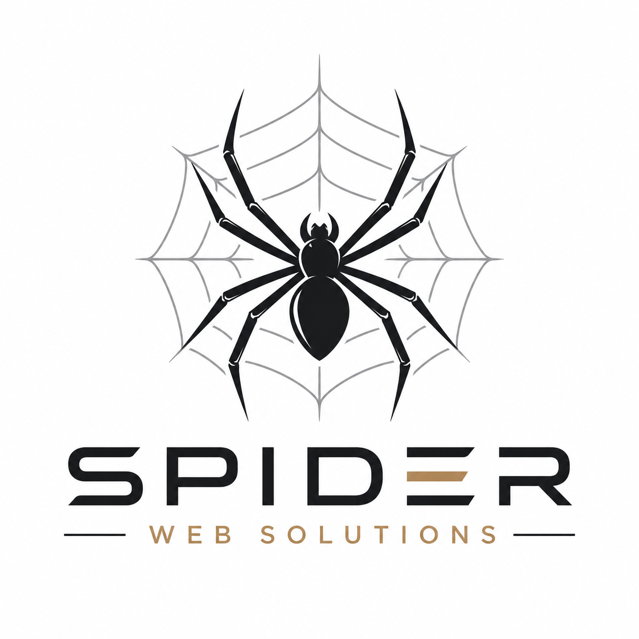 Spider Web Solutions logo